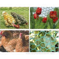 Galvanized Poultry Fence Hexagonal Wire Mesh